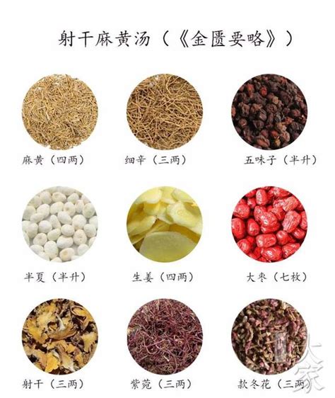 麻黃湯證|麻黃湯:歌訣,組成,用量,用法,功用,主治,方義,配伍特點,運用,加減化。